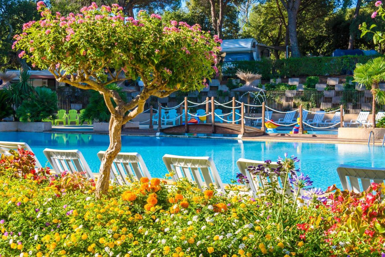 3 Bedroom Chalets Camping Lei Suves - Joycasa Roquebrune-sur Argens Dış mekan fotoğraf